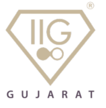 IIG Gujarat Logo
